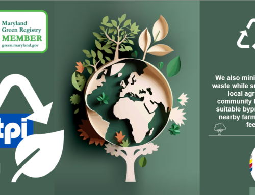 Sustainability at Thymly Products: Building a Greener Tomorrow