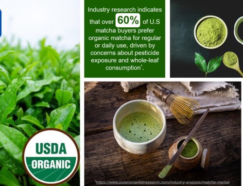 Organic Matcha Green Tea: Why It’s One of the Fastest‑Growing Premium Ingredients in Food & Beverage