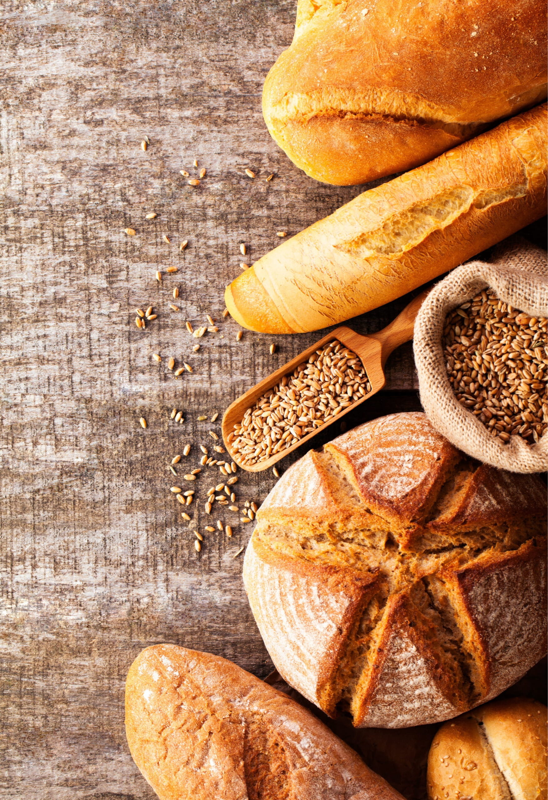 Flour, starch, and protein