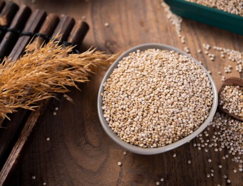 High-Protein Bakery Products: Meeting Consumer Demand Without Compromising Quality